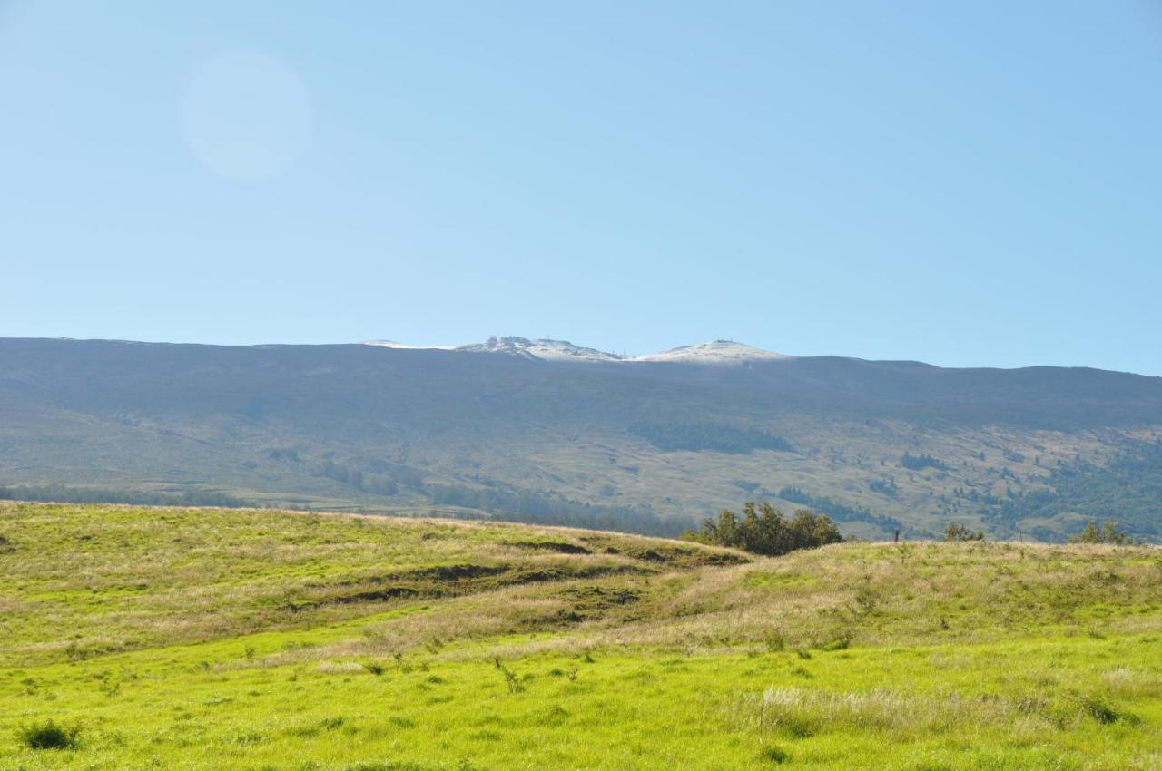 Kula 4200 Villa Dış mekan fotoğraf